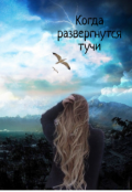 Обложка книги "Когда развергнутся тучи"