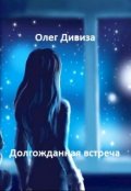 Обложка книги "Долгожданная встреча"