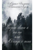 Обложка книги "Секрет света и тьмы или Легенда о Тени"