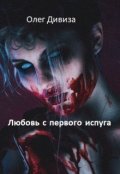Обложка книги "Любовь с первого испуга"