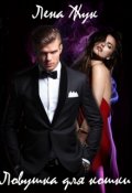 Обложка книги "Ловушка для кошки"