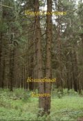 Обложка книги "Волшебный камень"