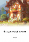 Обложка книги "Выкипевший котел"