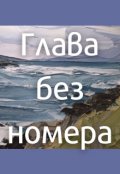 Обложка книги "Глава без номера"