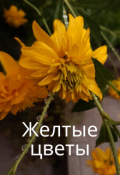 Обложка книги "Осенью"
