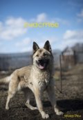 Обложка книги "Счастье"
