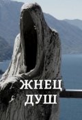 Обложка книги "Жнец Душ"