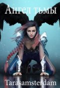 Обложка книги "Ангел тьмы"