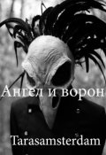 Обложка книги "Ангел и ворон"