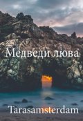 Обложка книги "Медведи Люва"