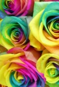 Обложка книги "музыка цветов, запах который звучит"