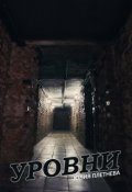 Обложка книги "Уровни"