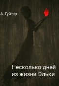 Обложка книги "Несколько дней из жизни Эльки"