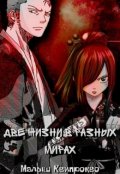 Обложка книги "Две жизни в разных мирах"