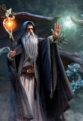 Обложка книги "Мудрец"