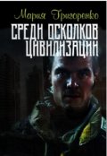 Обложка книги "Среди осколков цивилизации"