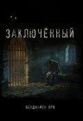 Обложка книги "Заключенный"