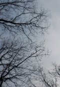 Обложка книги "Философия жизни"