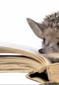 Обложка книги "Гандельвурд и Рохен-бахен"