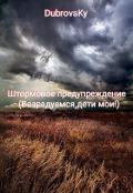 Обложка книги "Штормовое предупреждение (возрадуемся, дети мои!)"