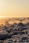 Обложка книги "Снежная буря"