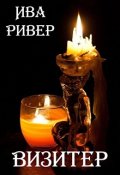 Обложка книги "Визитер"