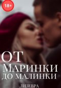 Обложка книги "От Маринки до Малинки"