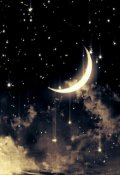 Обложка книги "Собиратель звездной пыли"