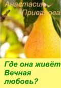 Обложка книги "Где она живёт вечная любовь?"