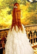 Обложка книги "Загадочный граф.Приключения Фаяльяры."