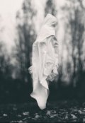 Обложка книги "Ночная прогулка"