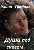 Обложка книги "Душа под снегом"
