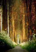 Обложка книги "Загадочный визитёр"