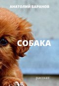 Обложка книги "Собака"