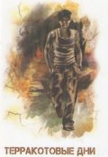 Обложка книги "Терракотовые дни"