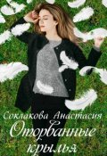 Обложка книги "Оторванные крылья "