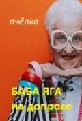 Обложка книги "Баба Яга на допросе."