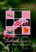Обложка книги "Лабиринты судьбы, или Ищите мужчину"