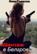 Обложка книги "Шантаж в Белгровии"