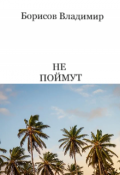 Обложка книги "Не поймут"
