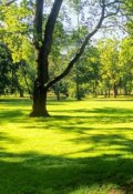 Обложка книги "Искусство видеть прекрасное"