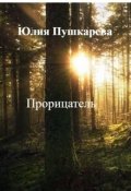 Обложка книги "Прорицатель"