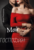Обложка книги "Мой Господин "