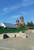 Обложка книги "Золото Боровецкой церкви"