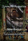 Обложка книги "Драконий камень"
