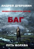 Обложка книги "Ивашка в тридесятом царстве Книга 1 Багатырь"