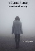 Обложка книги "Тёмный лес, холодный ветер."