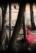 Обложка книги "Привет с той стороны"