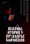 Обложка книги "Ведуны. История 1: Проклятье близнецов."