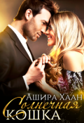 Обложка книги "Солнечная кошка"